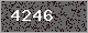 Image Verification is missing, please contact the administrator